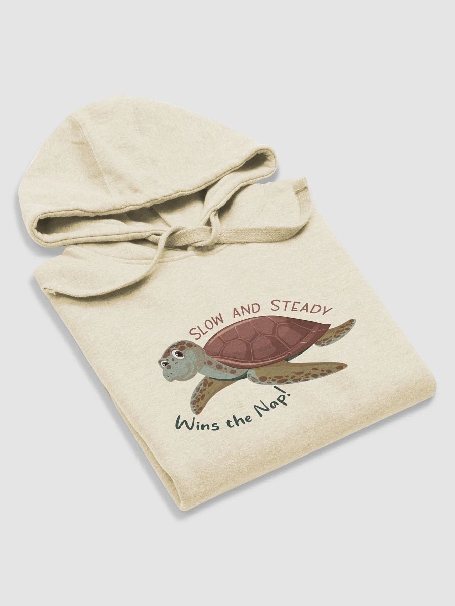 Slow and Steady Wins the Race Hoodie product image (3)