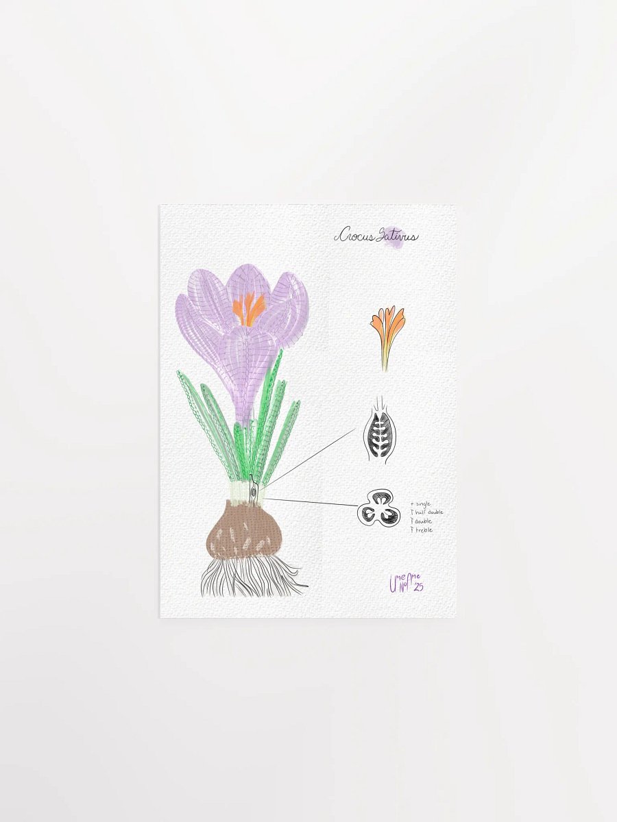 Crochet Vision: Crocus Print product image (2)