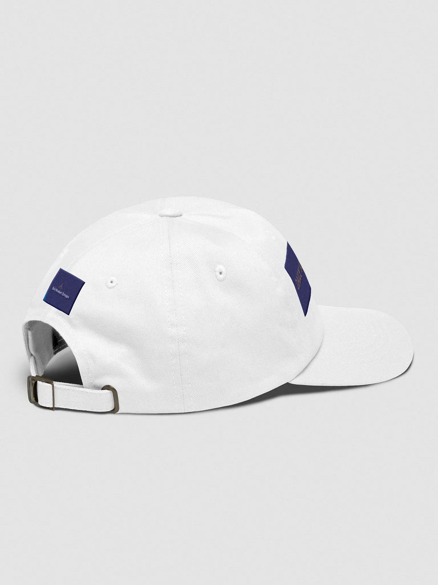 Daily Mindset Drops Dad Hat product image (4)