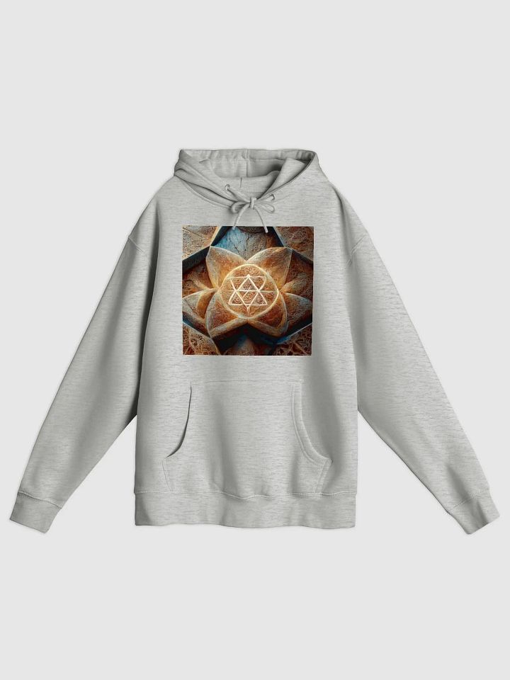 Premium Comfort Unisex Hoodie product image (1)