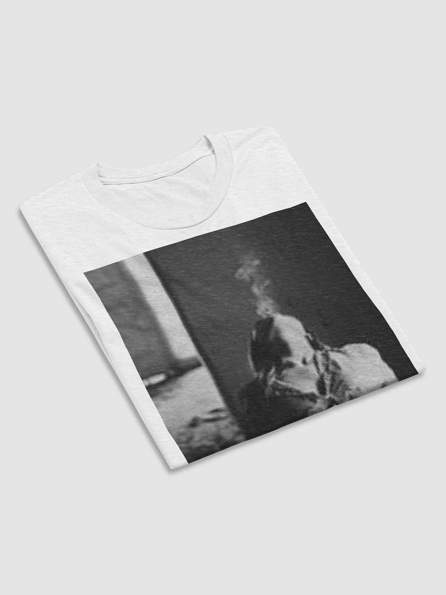 She Came Down T-Shirt product image (6)