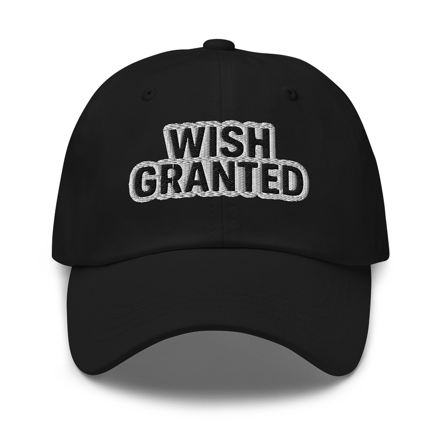 WISH GRANTED Hat product image (1)