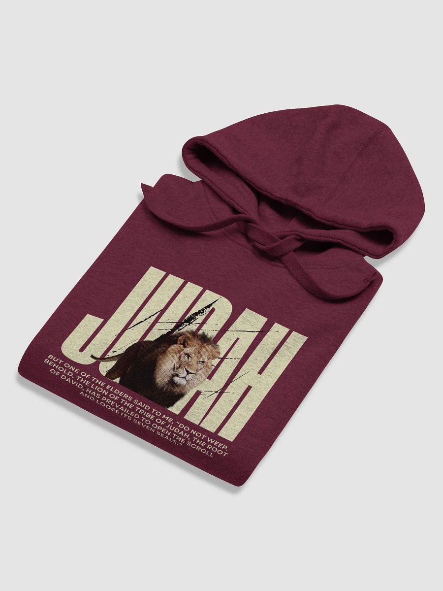 Lion of Judah Premium Hoodie product image (3)