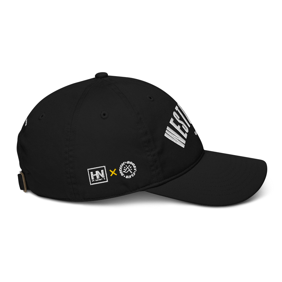 Hybrid Nation x Pacific Bogey Club DadHat product image (5)