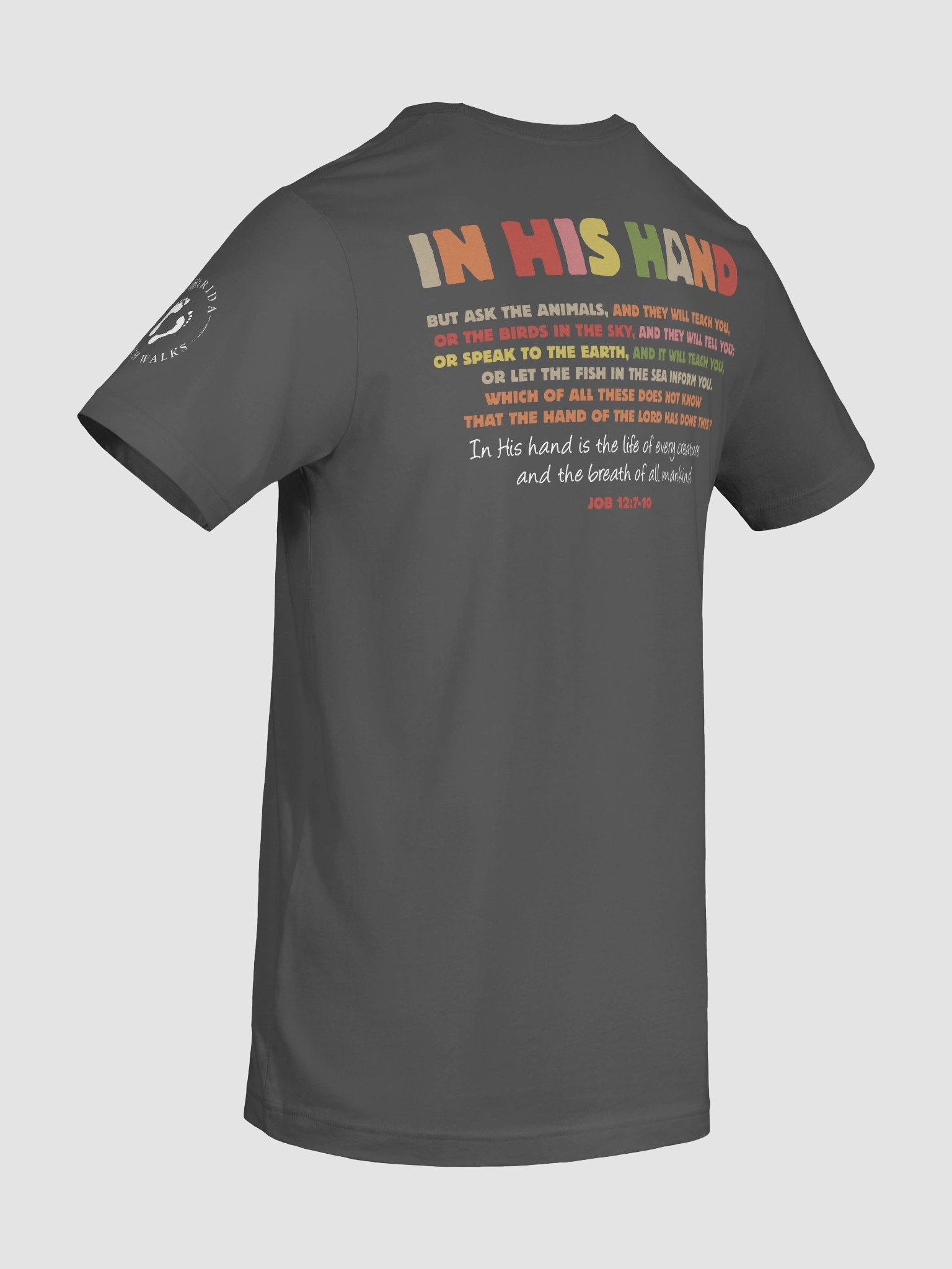 In His Hand Scripture T-Shirt product image (10)