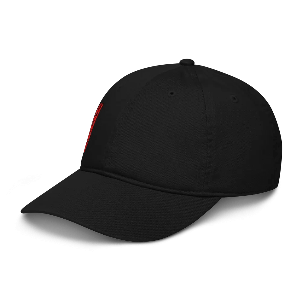 Shobek Dad Hat product image (4)