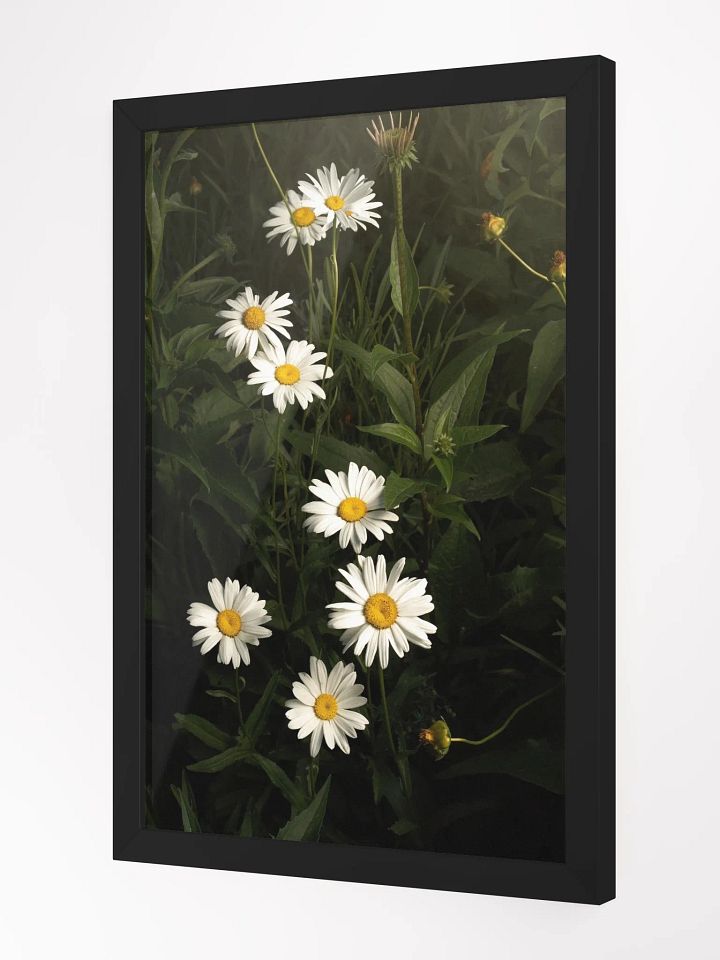 Undulating Daisies product image (2)