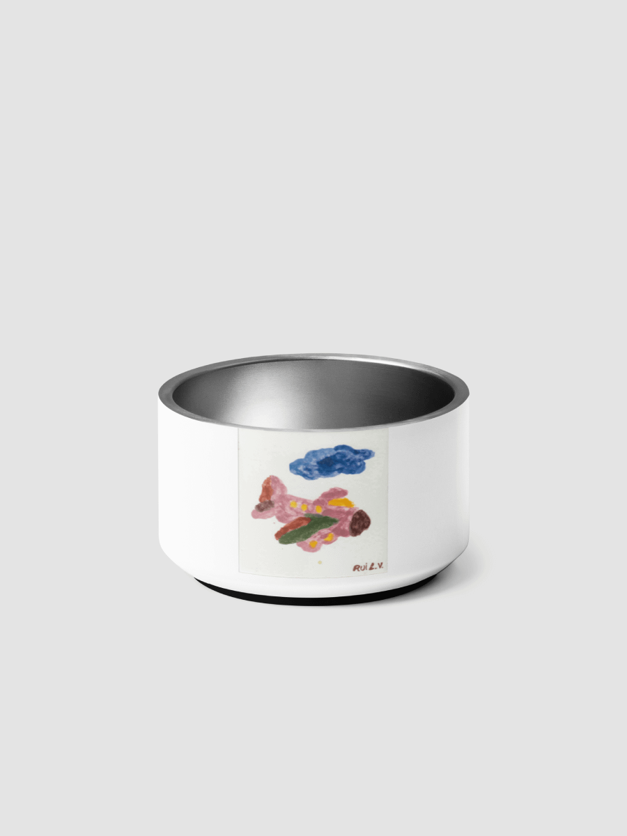 Kid Airplane (Pet bowl) product image (1)