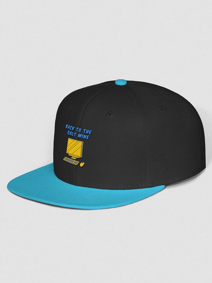 Back To The Salt Mine Snapback product image (2)