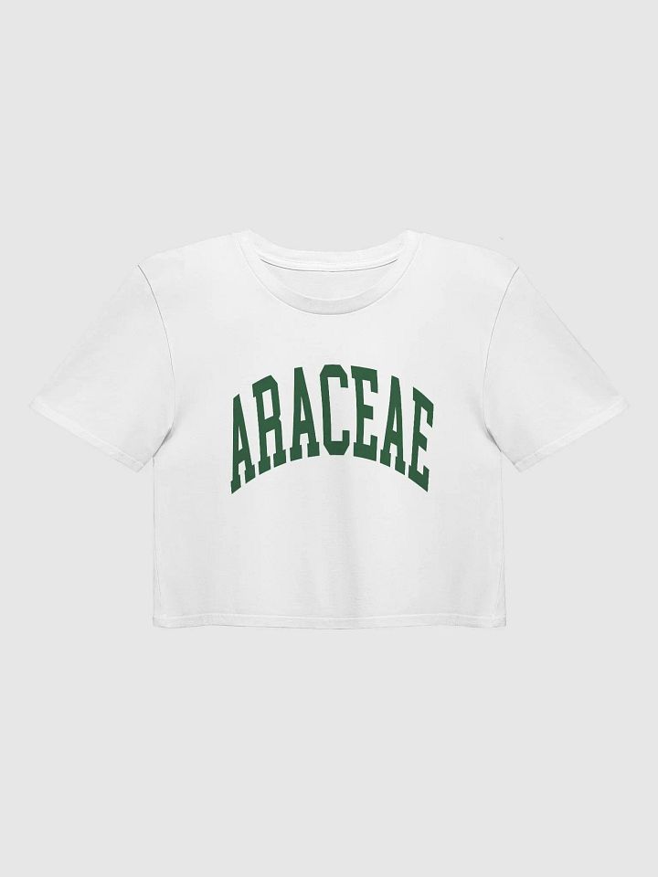 ARACEAE varsity crop top product image (1)