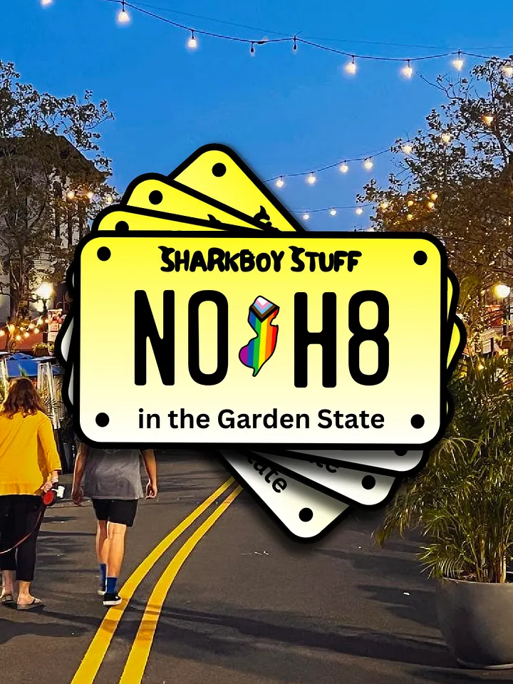 NO H8 License Plate Sticker product image (1)