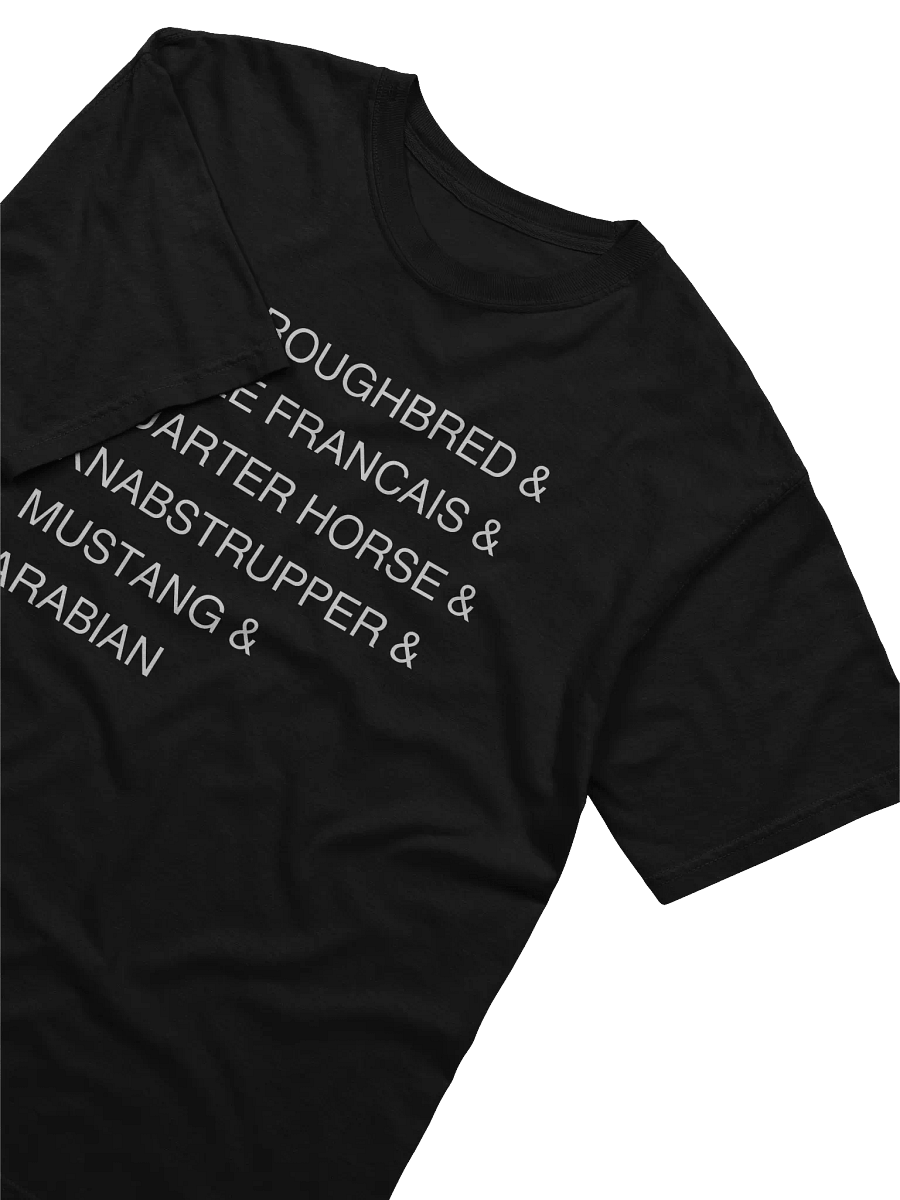 Favorite Horse Breeds List Tee product image (4)