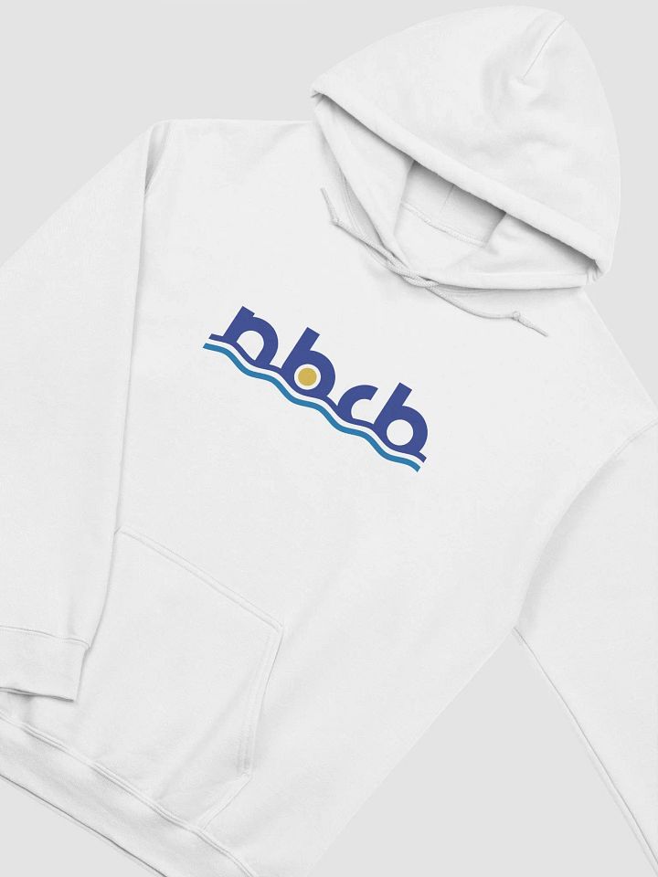 Classic Unisex Hoodie by Gildan - Acronym Logo in Color product image (9)