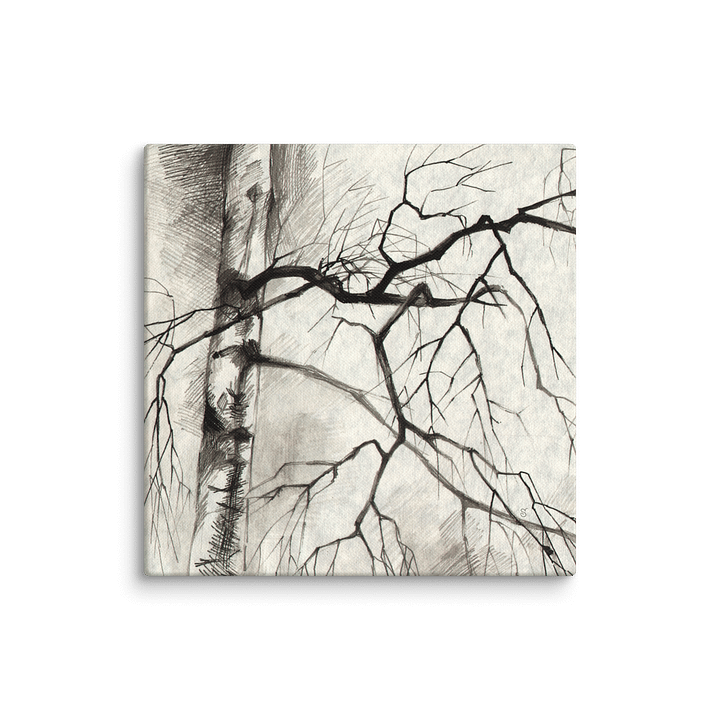Birch Whispers Canvas - Birches product image (1)