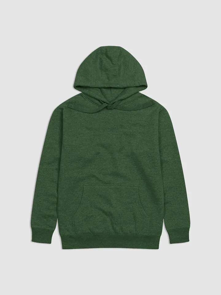 DTN Hoodie product image (2)