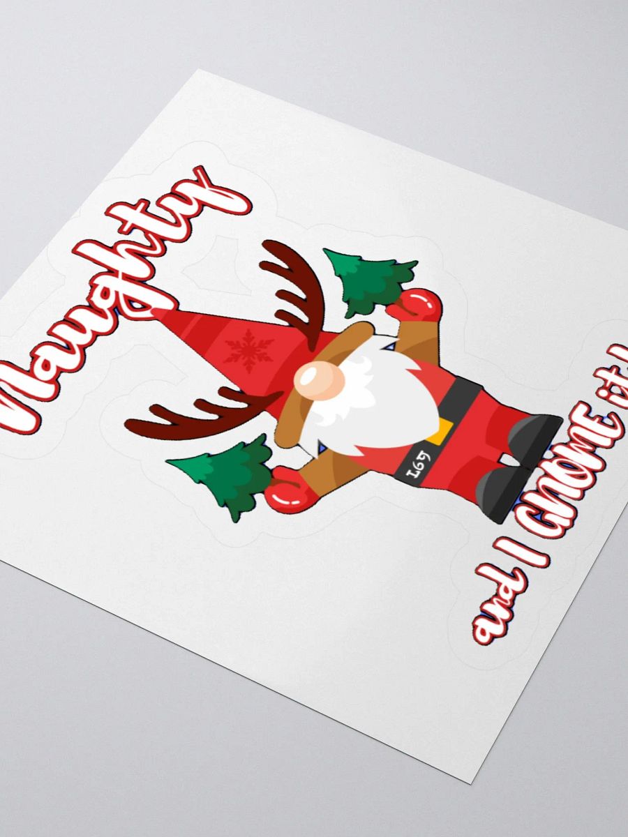 NAUGHTY AND I GNOME IT product image (3)