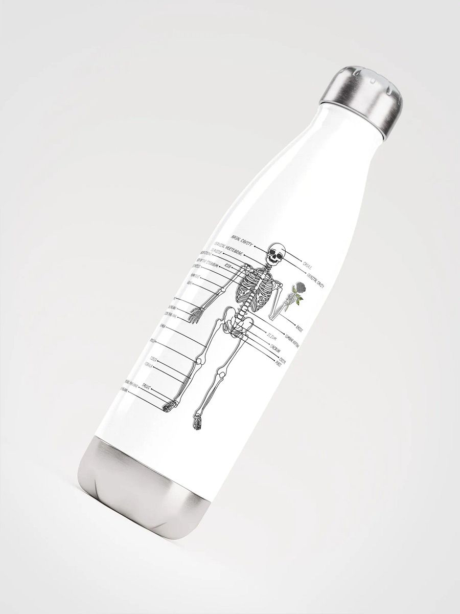 Hello and Welcome Bottle product image (4)