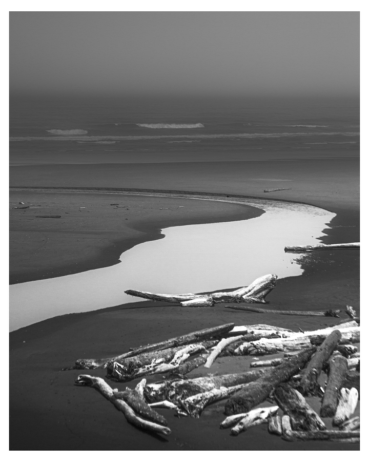 OLYMPIC PENINSULA #01 product image (1)