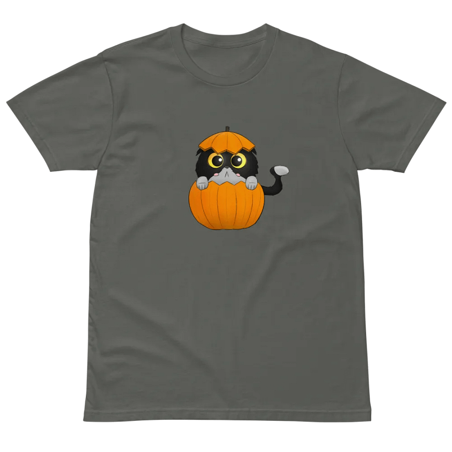 Pumpkin cat T-shirt product image (3)