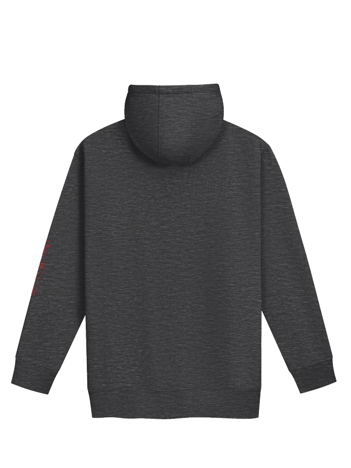 Festive Raccoon Snack Unisex Hoodie product image (7)