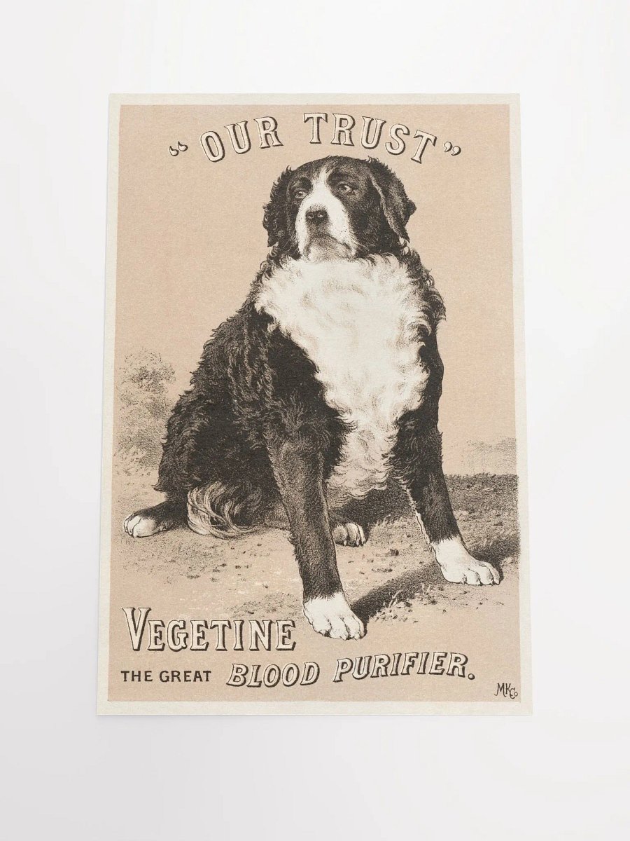 "Our trust" Vegetine, the great blood purifier product image (2)
