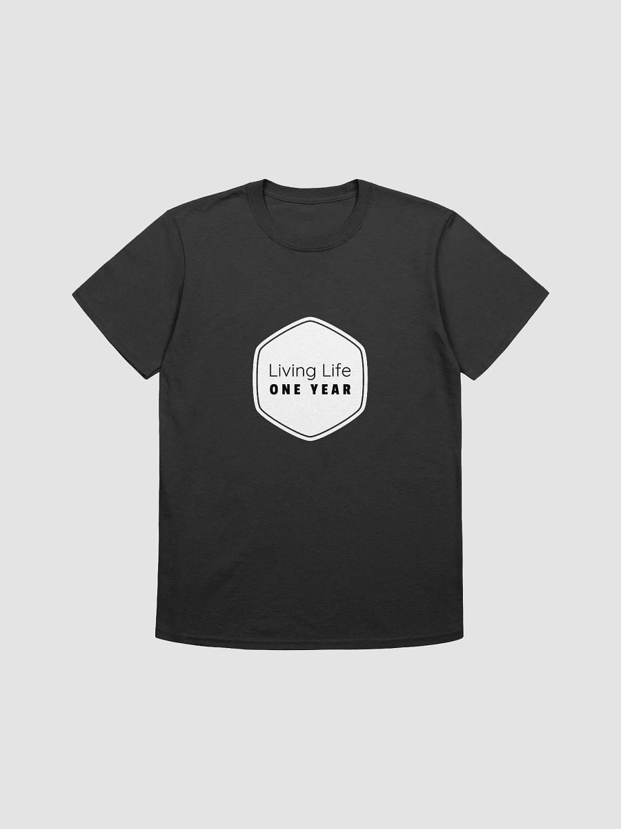 Living Life One Year product image (1)