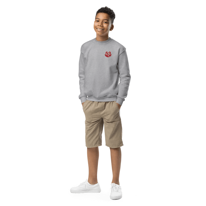 Gildan Youth Crew Neck Sweatshirt product image (1)
