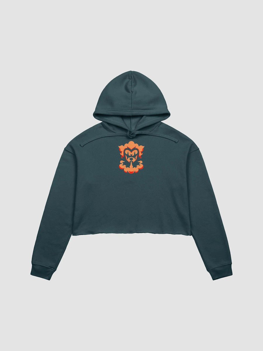 BOBO CROP TOP HOODIE product image (1)