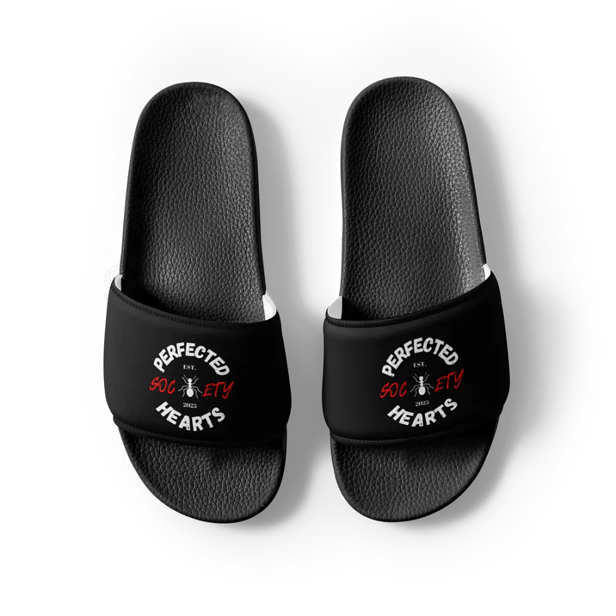 PHS (BLK) Slides product image (1)