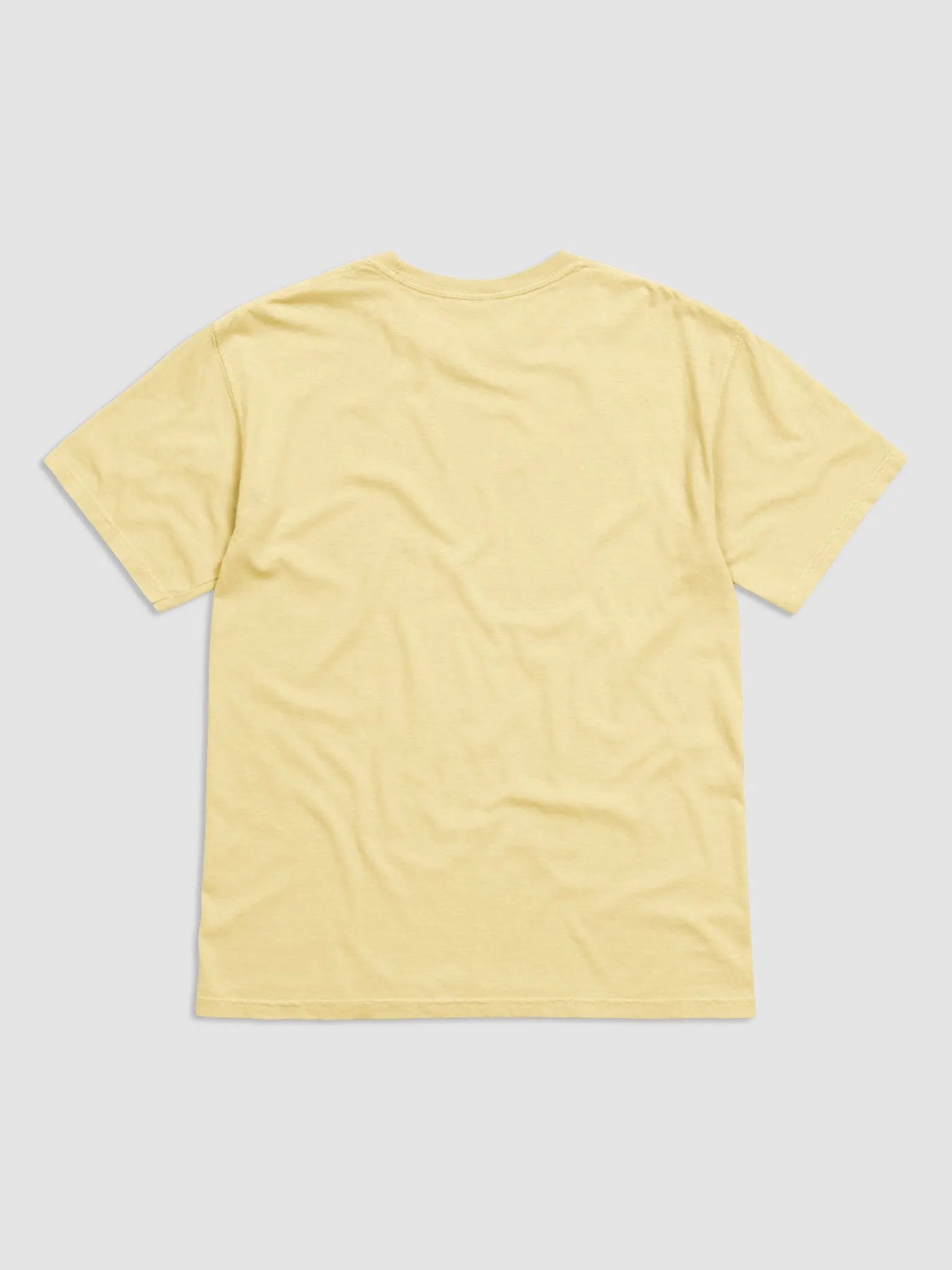 Comfort Colors Garment-Dyed Heavyweight T-Shirt- Blue Gorilla product image (20)