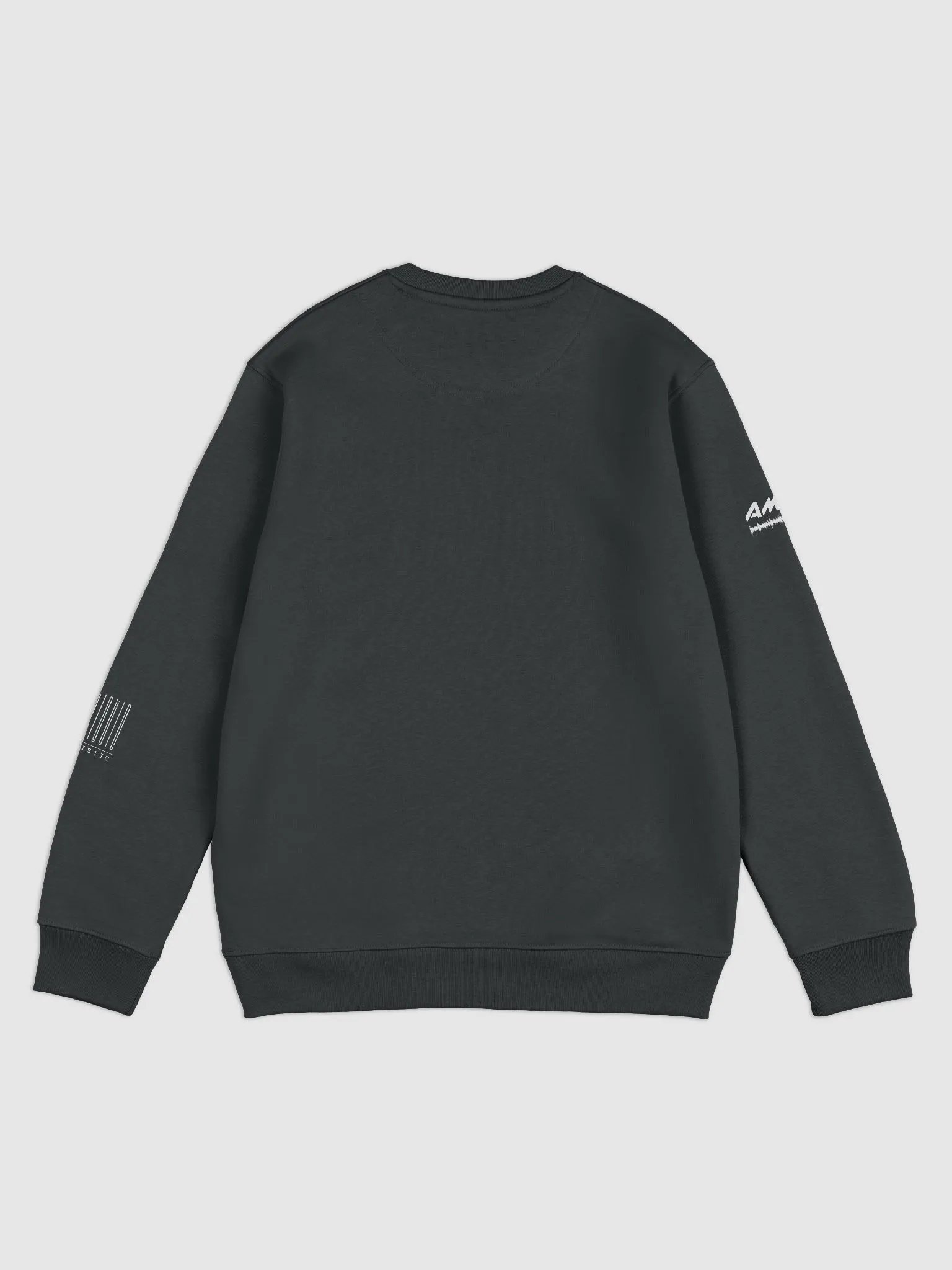 Zebo / Amen / CHI or DIE Sweat Shirt product image (3)