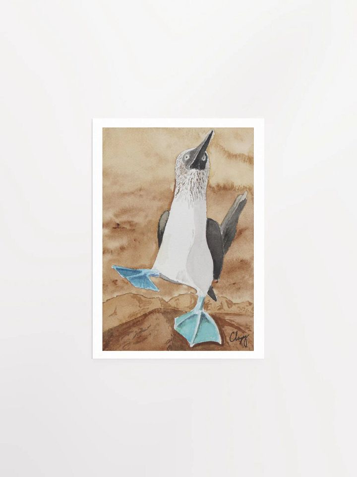 Blue Footed Booby Print product image (1)