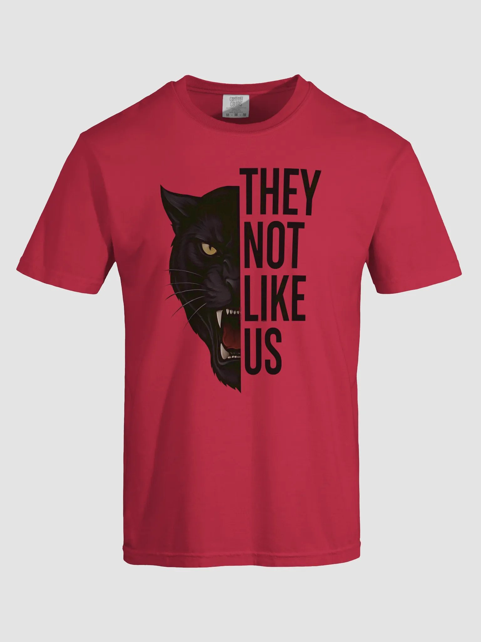 They Not Like Us Tee product image (24)