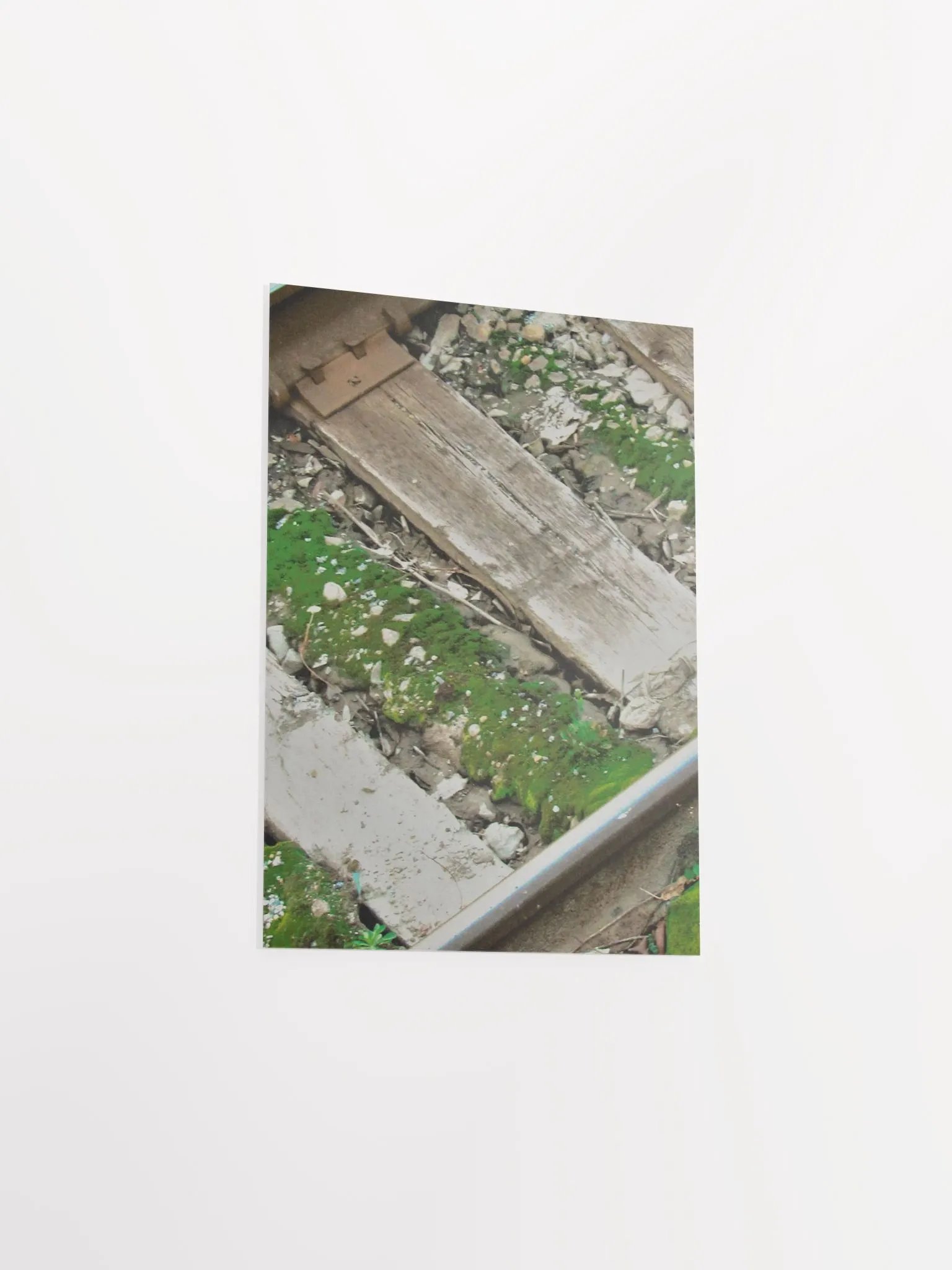 Mossy Railroad product image (37)