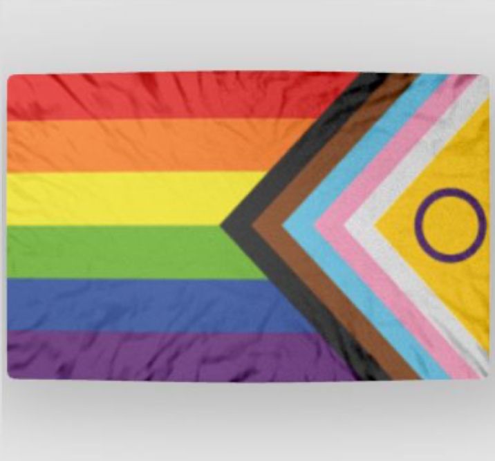 Progress flag pillow product image (2)