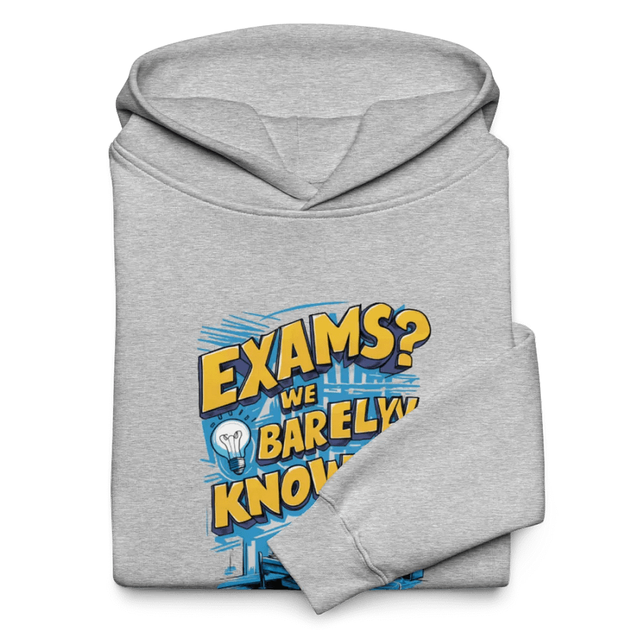 Exams Idea Overload Unisex Hoodie product image (40)