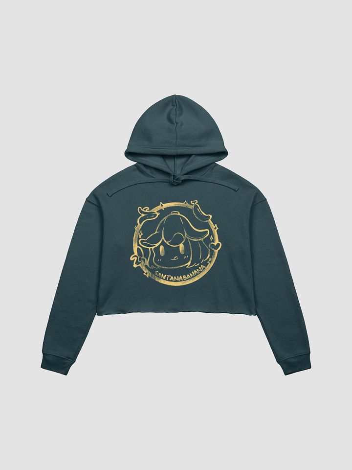 Stamp Cropped Hoodie product image (3)