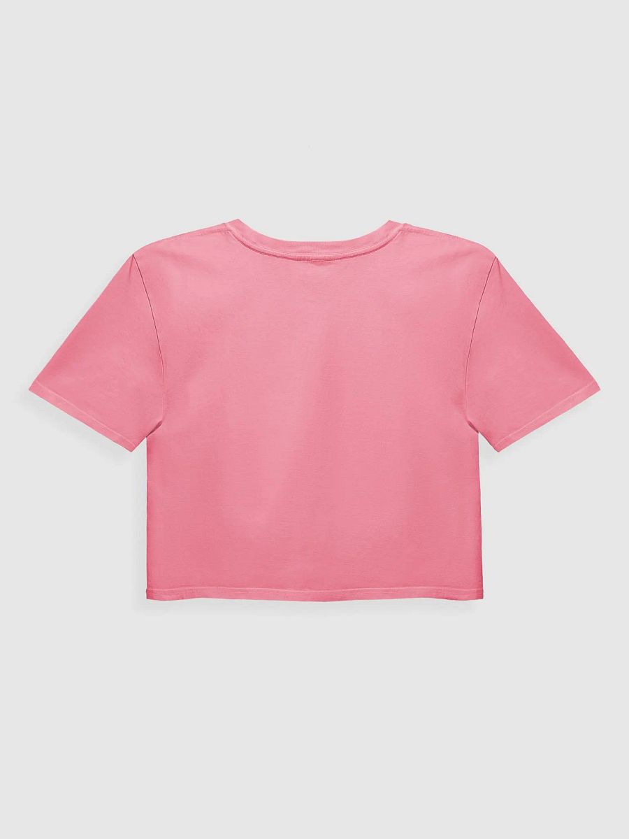 Stop Staring at My Chest....nut Women's Crop Top product image (7)