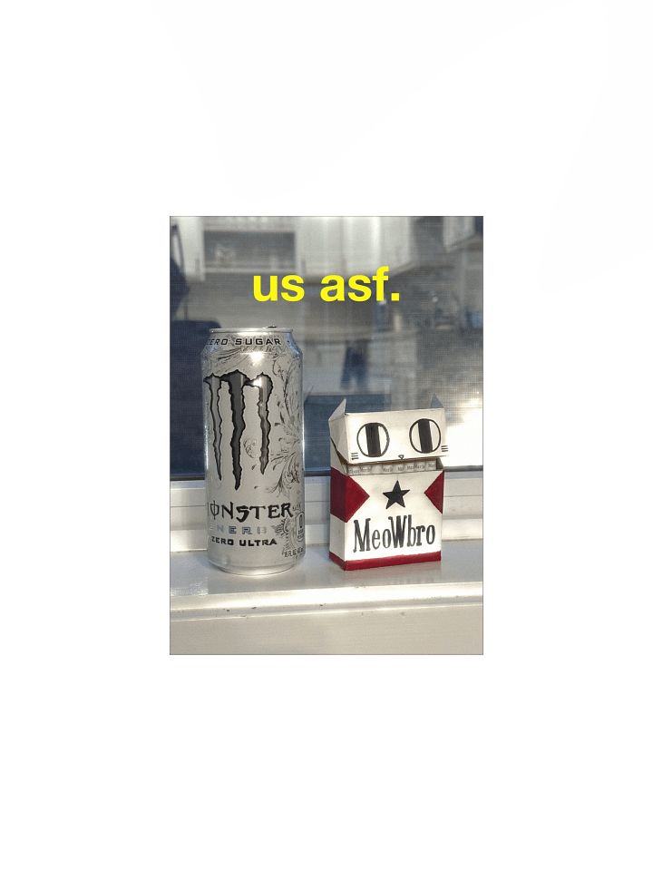 US ASF PRINT product image (4)