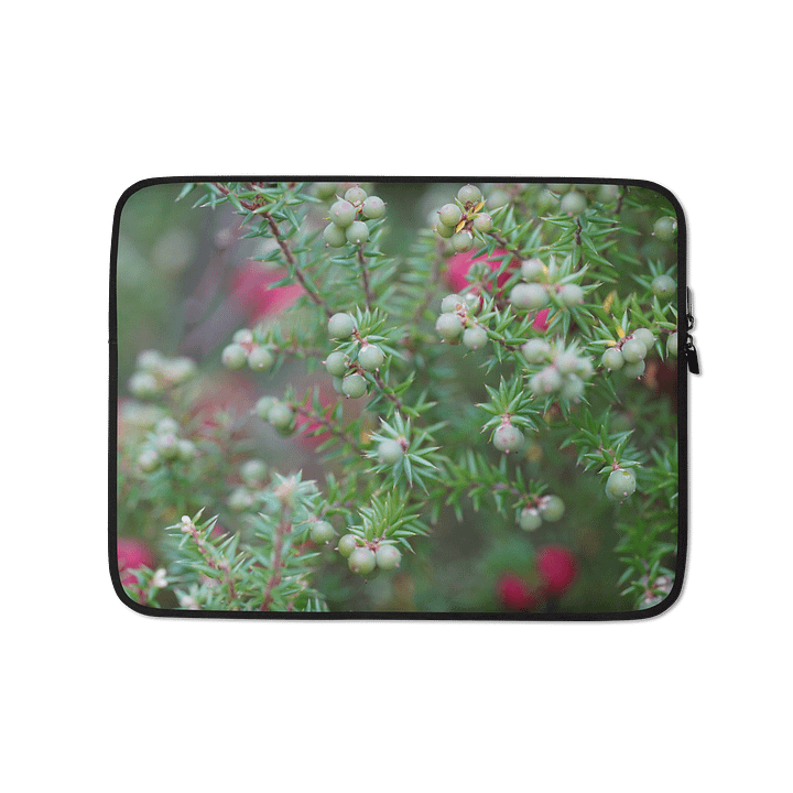 Berries product image (1)