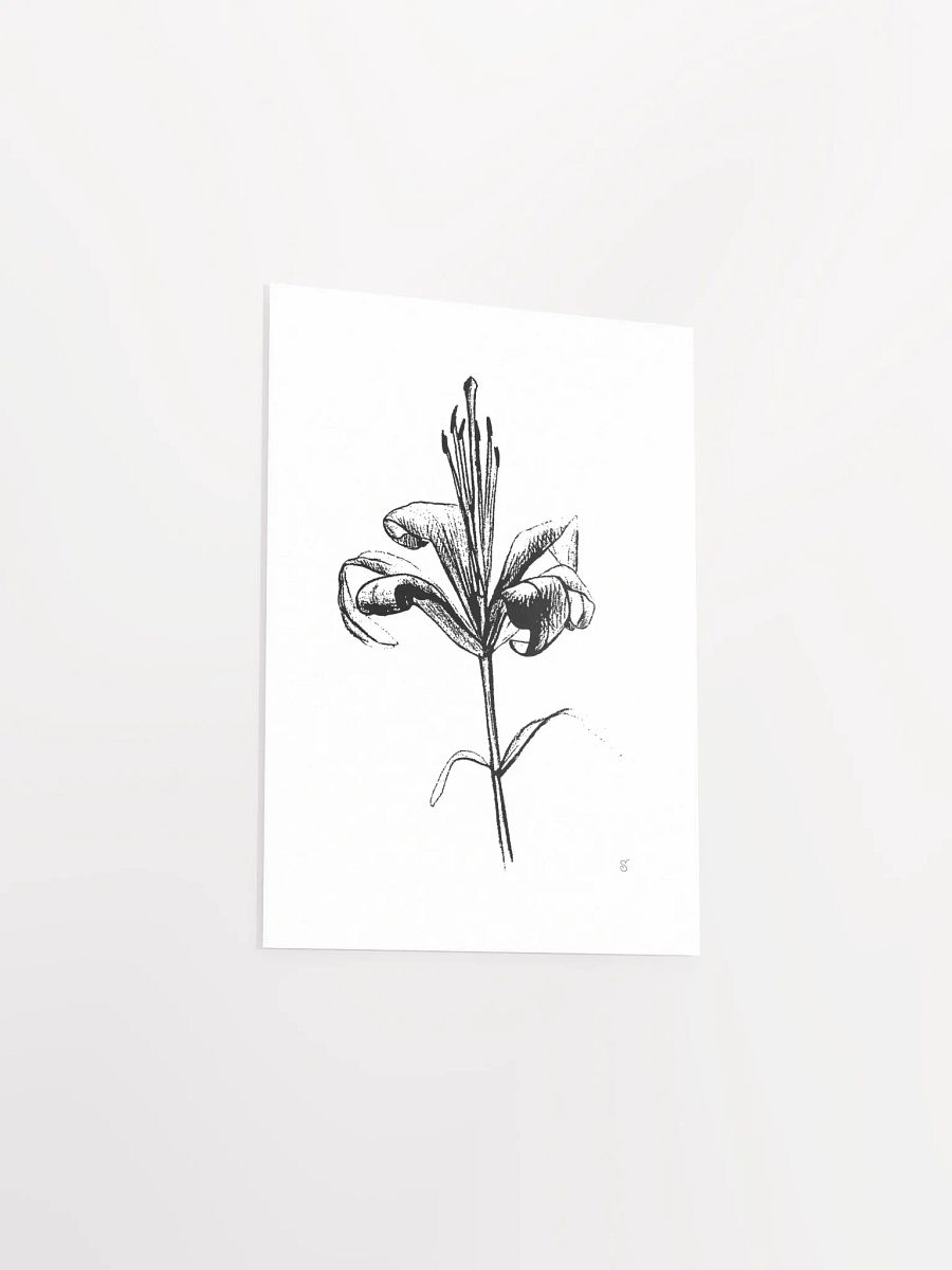 Lily Elegance Poster - Fine Flower Light product image (3)