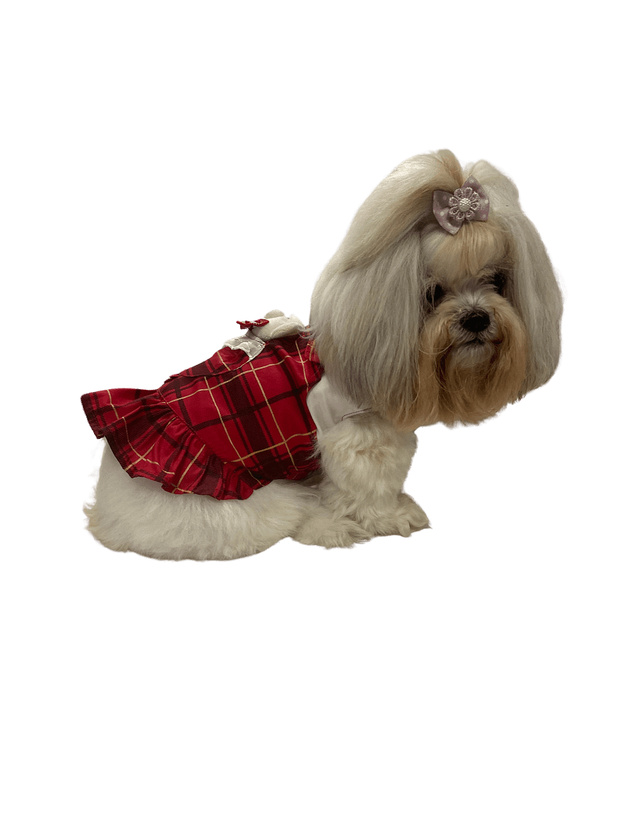 Vestido Pet Ursabela - Modelagem Pet PDF product image (7)