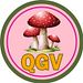 Quirky Groovy Vintage