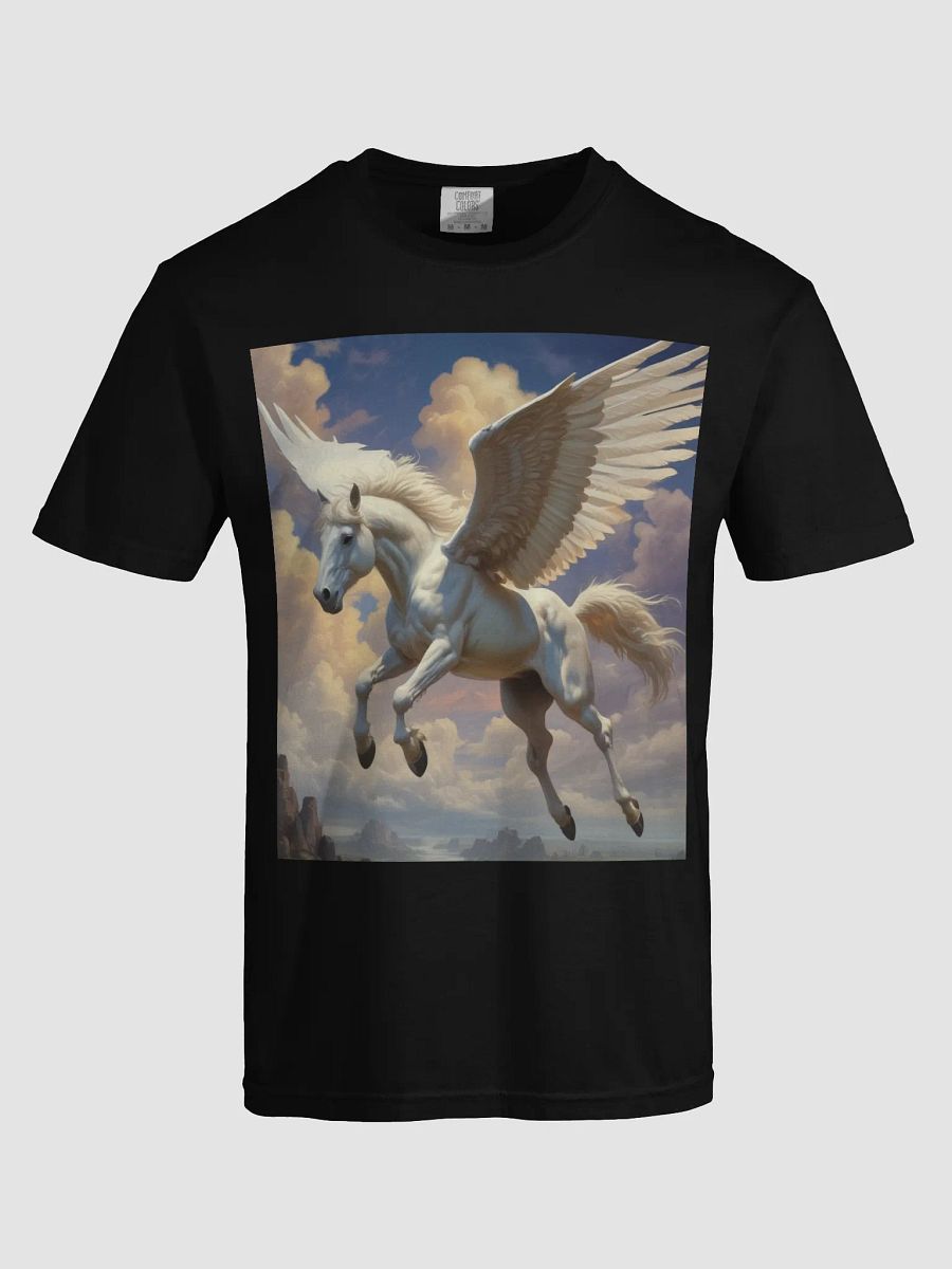 Pegasus product image (33)