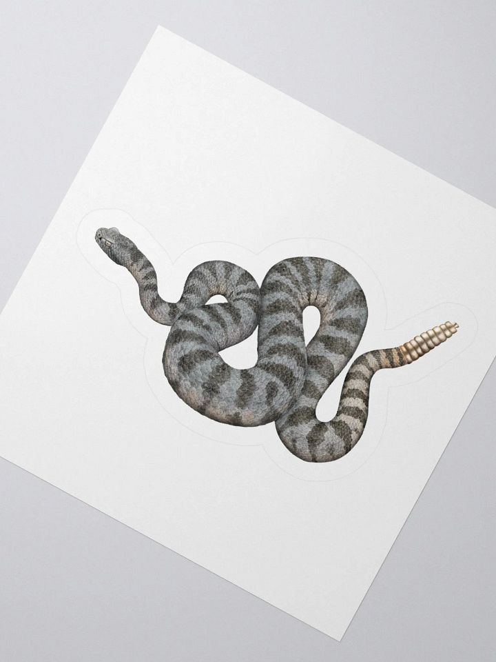 Die-Cut Sticker – Tiger Rattlesnake product image (2)