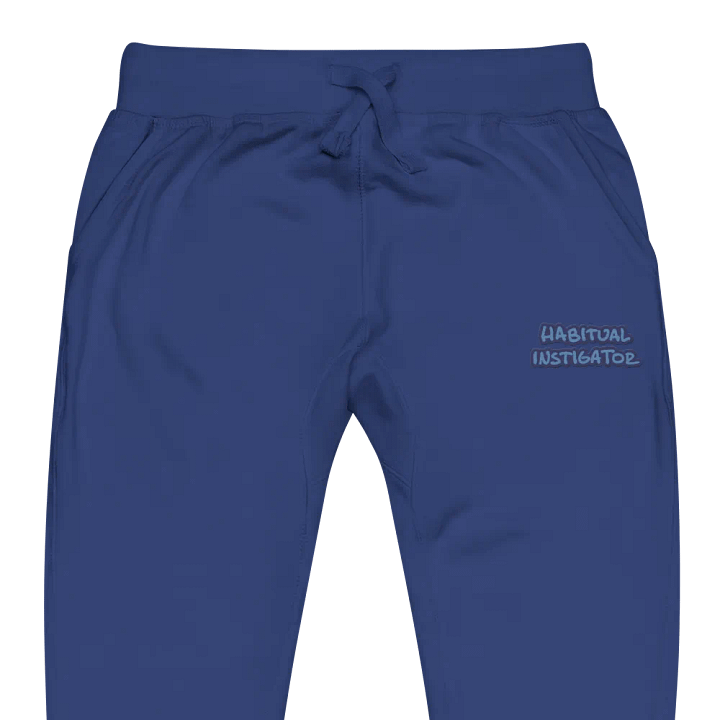 HABITUAL INSTIGATOR (electric design) embroidered fleece joggers product image (13)