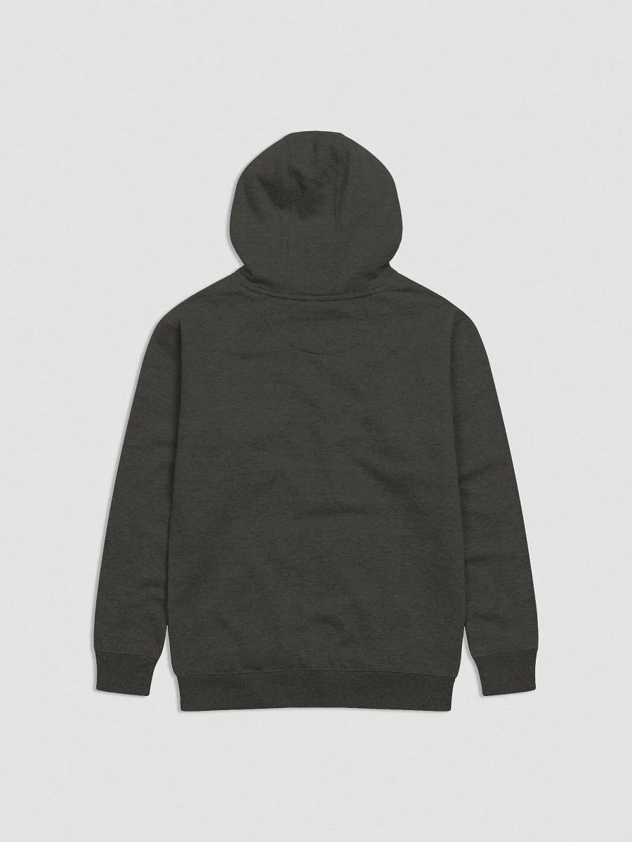 2024 LIFE Hoodie product image (3)