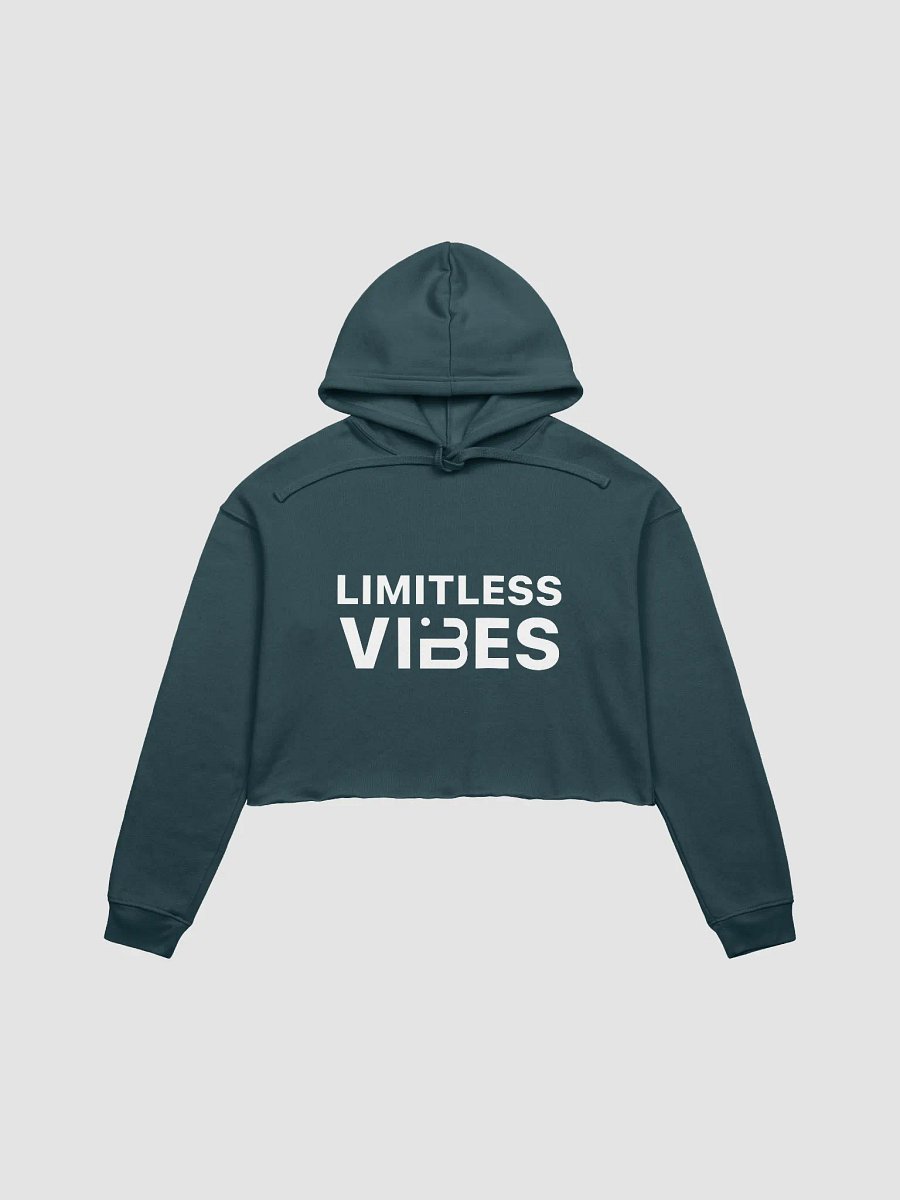 BUIII Limitless Vibes Fleece Crop Hoodie product image (6)