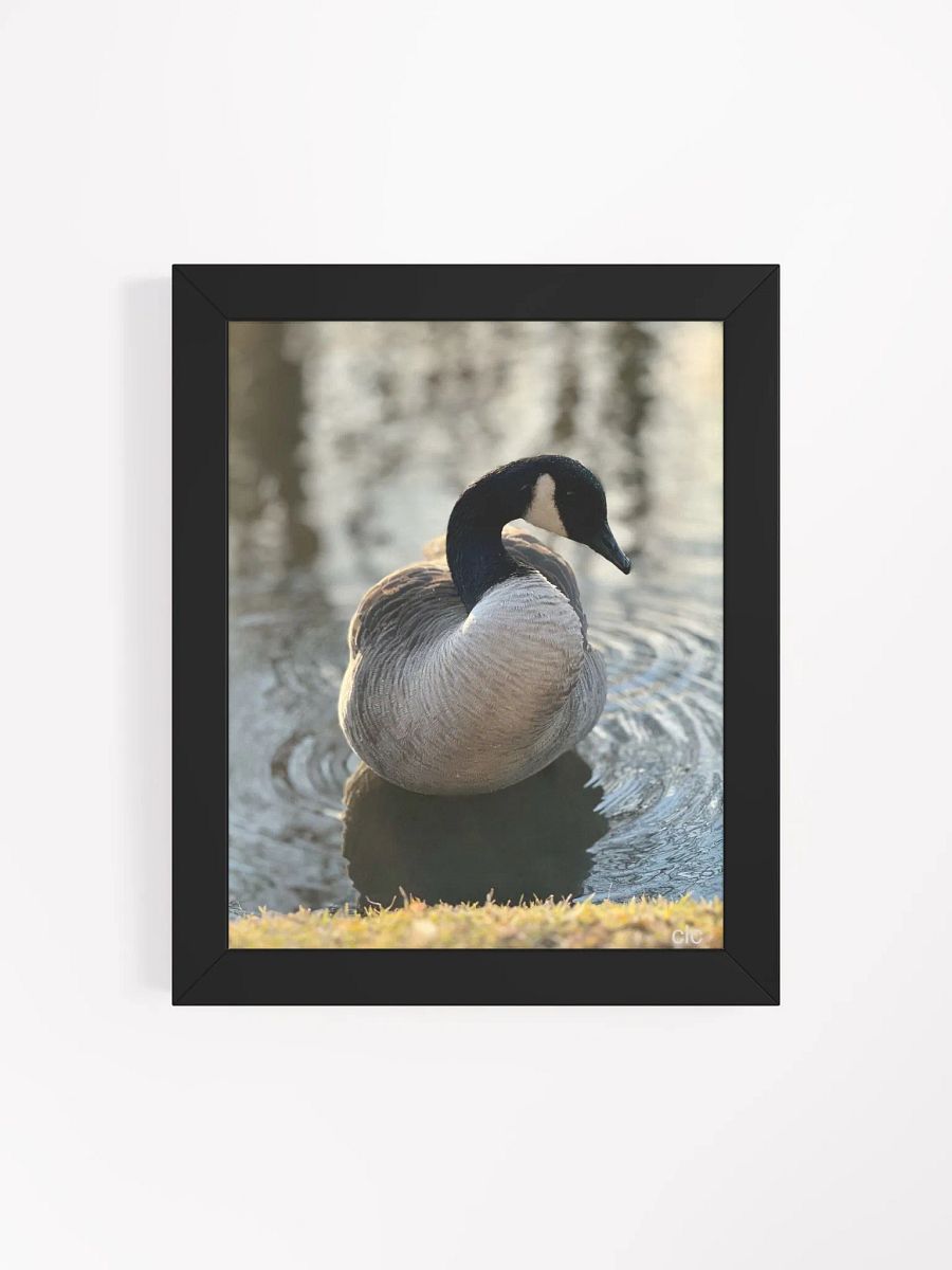 Bruce the Goose print product image (66)