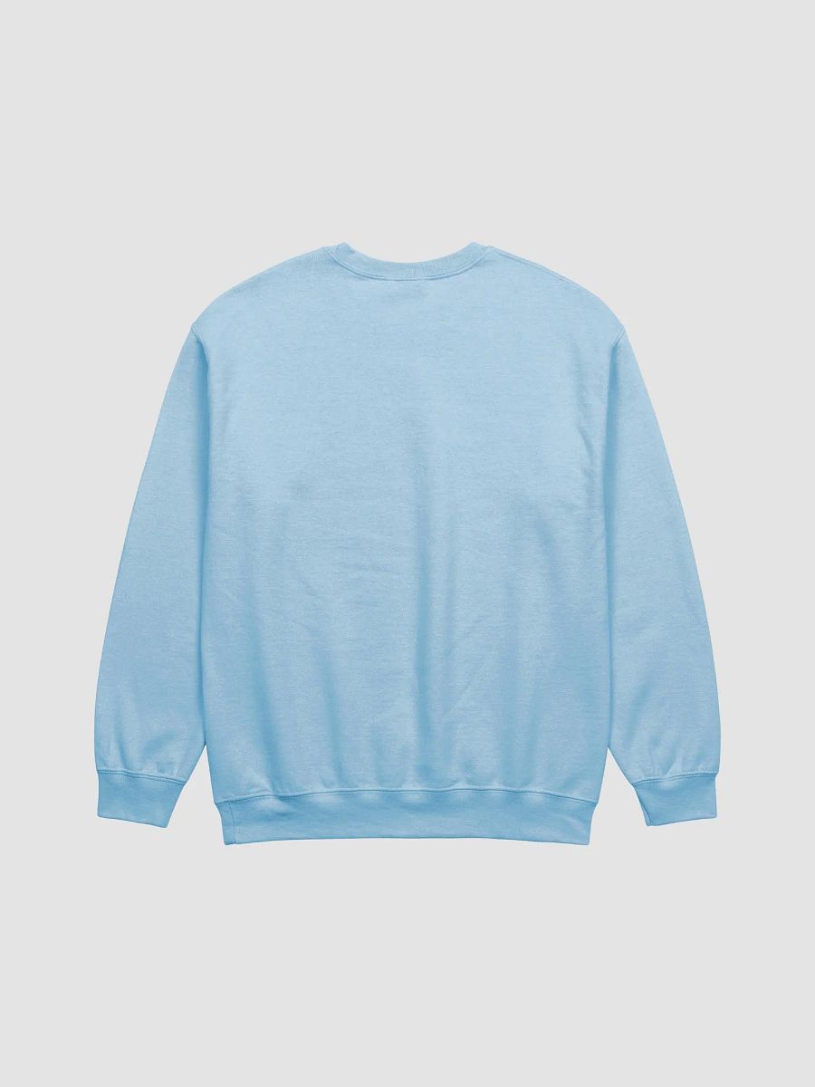 Birdy Sweatshirt product image (3)